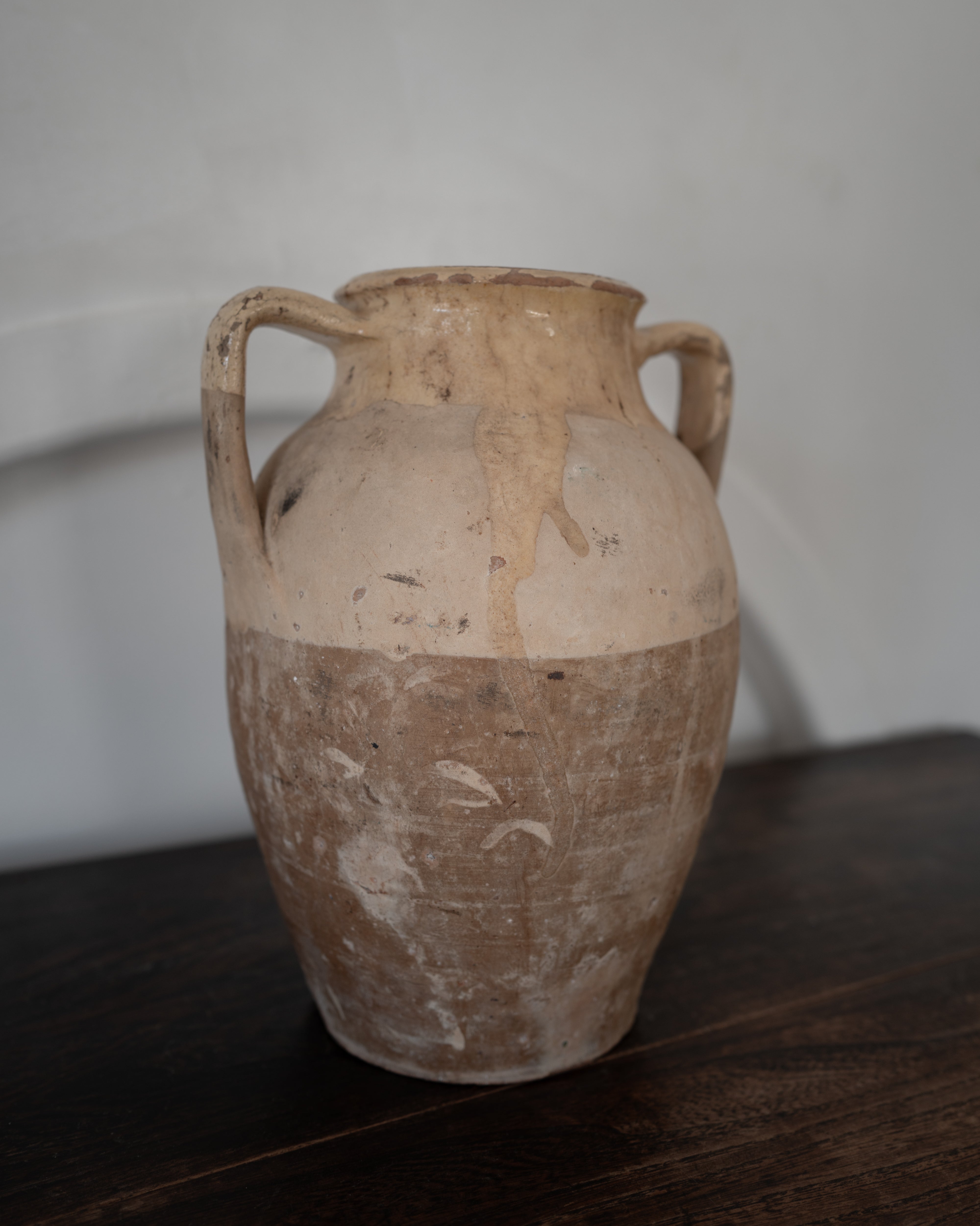 19世紀 イタリア トスカーナ 保存壺 AN-25027