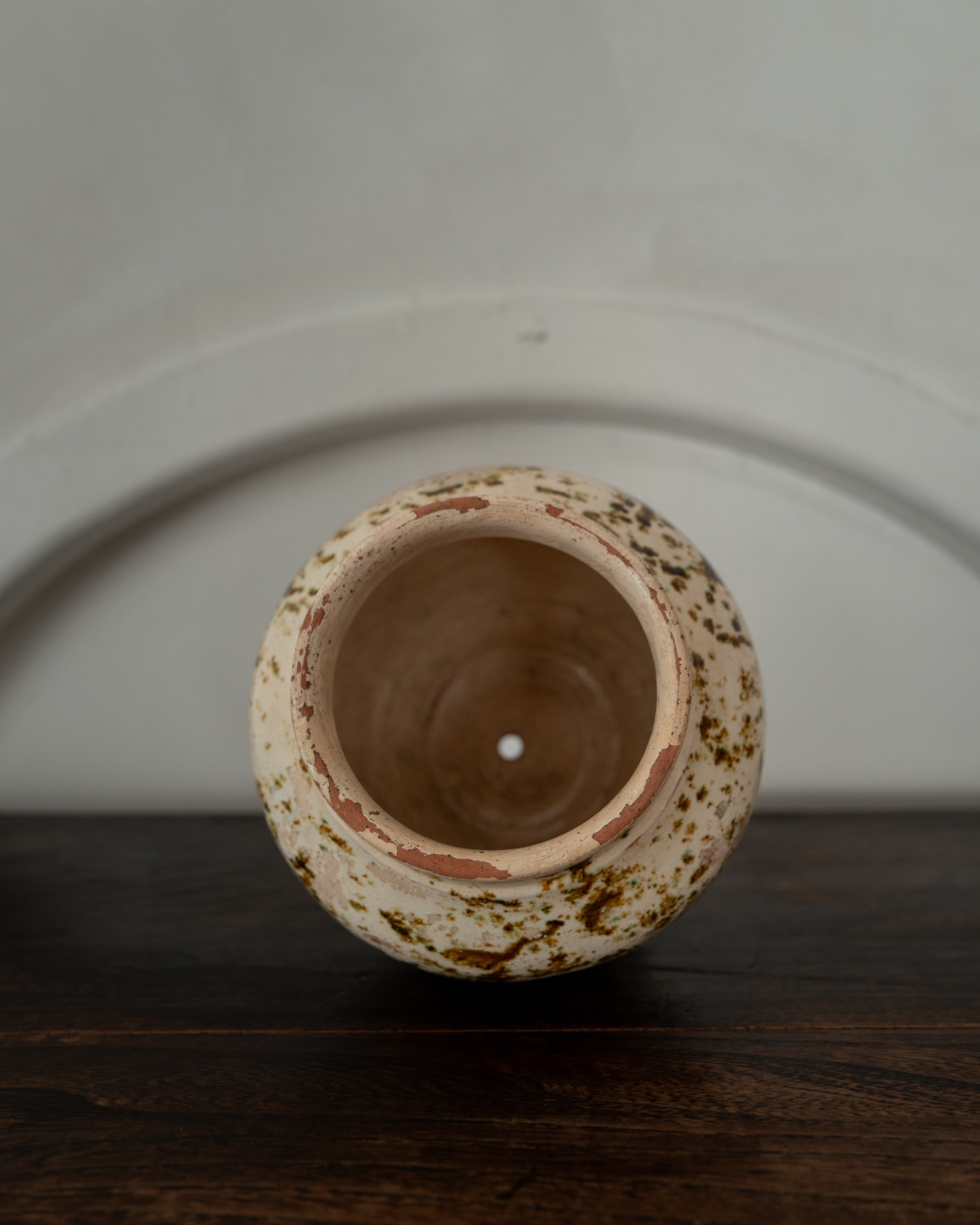 20世紀 イタリア プーリア プラントポット AN-25058