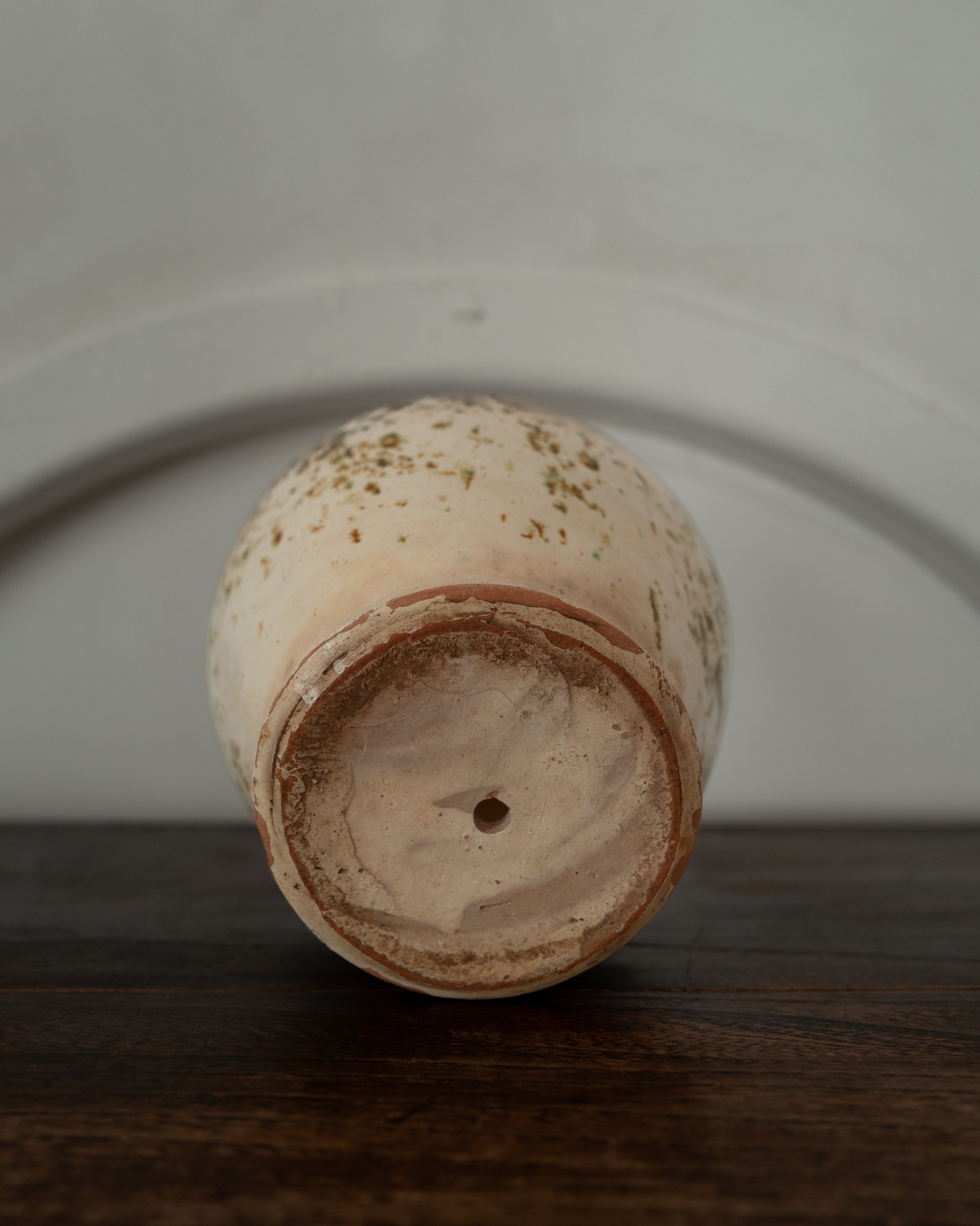 20世紀 イタリア プーリア プラントポット AN-25058