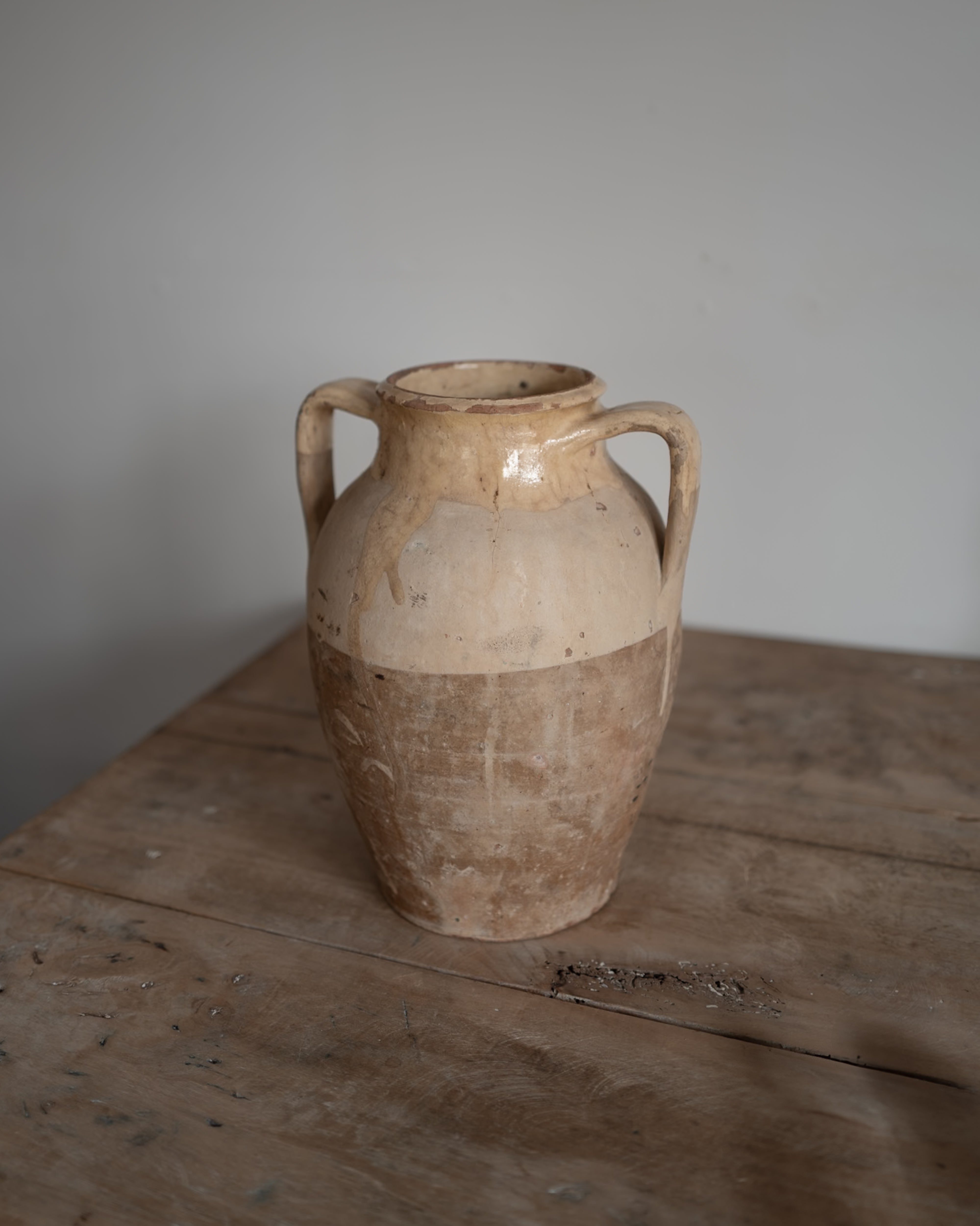 19世紀 イタリア トスカーナ 保存壺 AN-25027