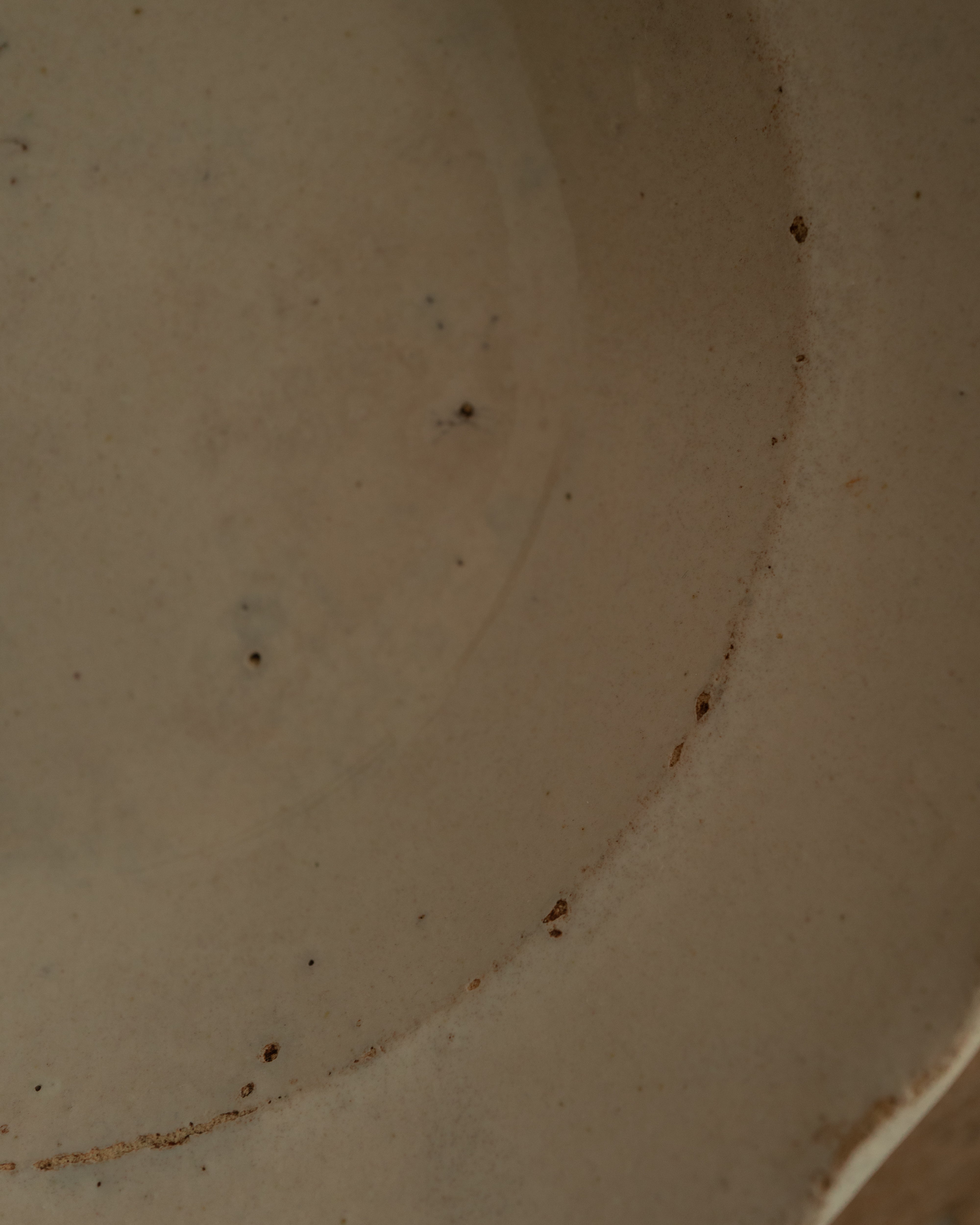 19th Century Italian Grottaglie, Puglia, Tin-Glazed Flower Plate AN-25194