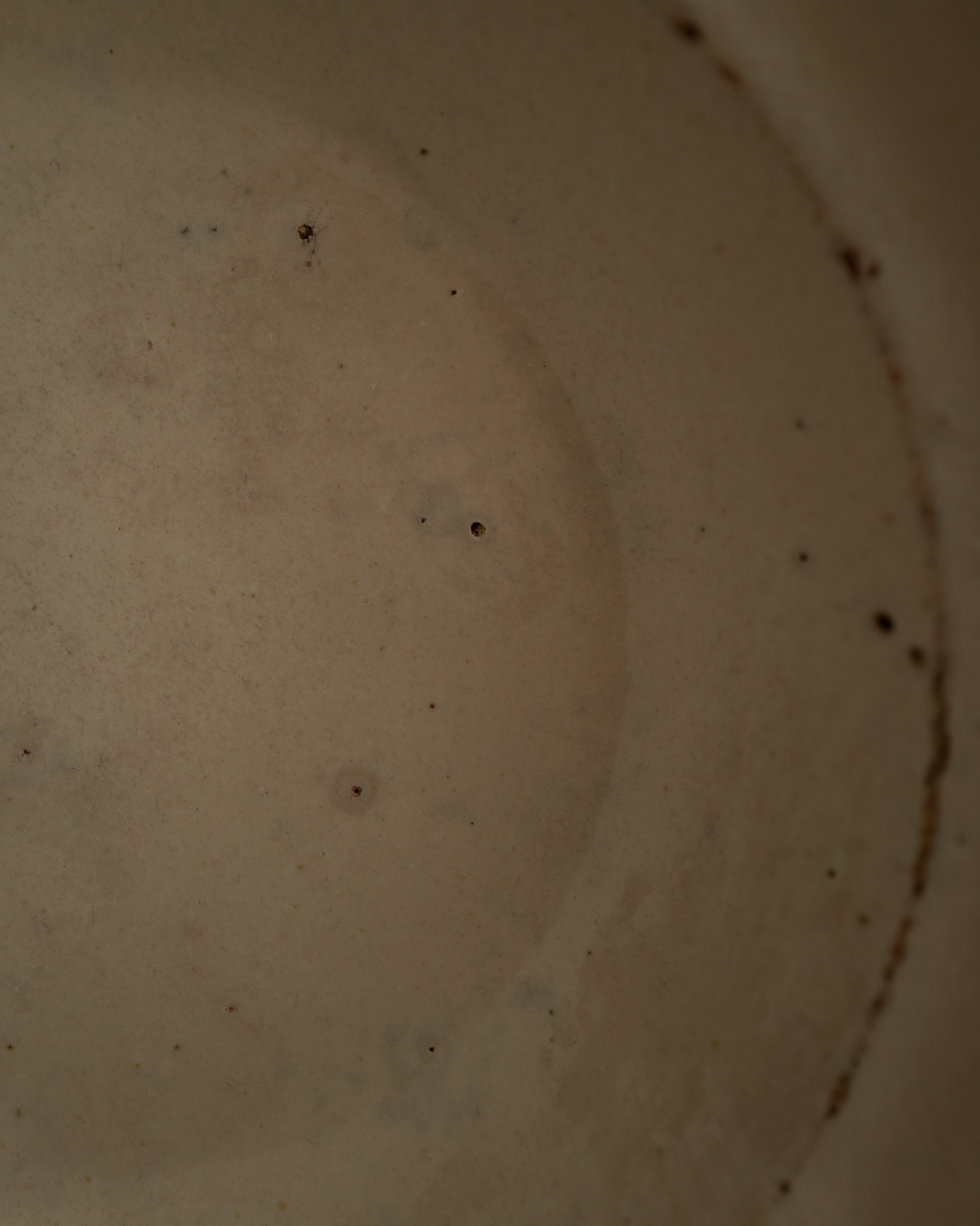 19th Century Italian Grottaglie, Puglia, Tin-Glazed Flower Plate AN-25194