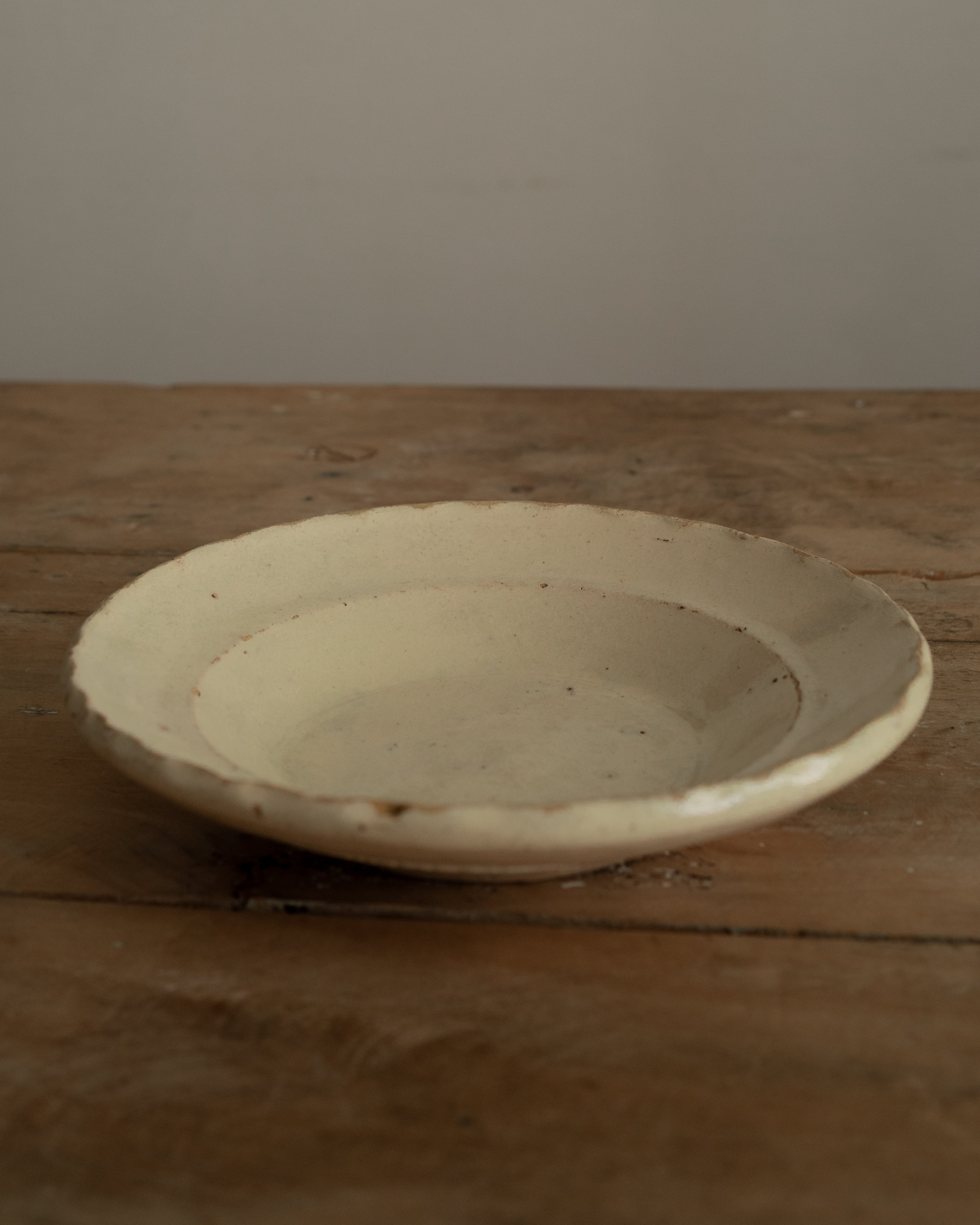 19th Century Italian Grottaglie, Puglia, Tin-Glazed Flower Plate AN-25194
