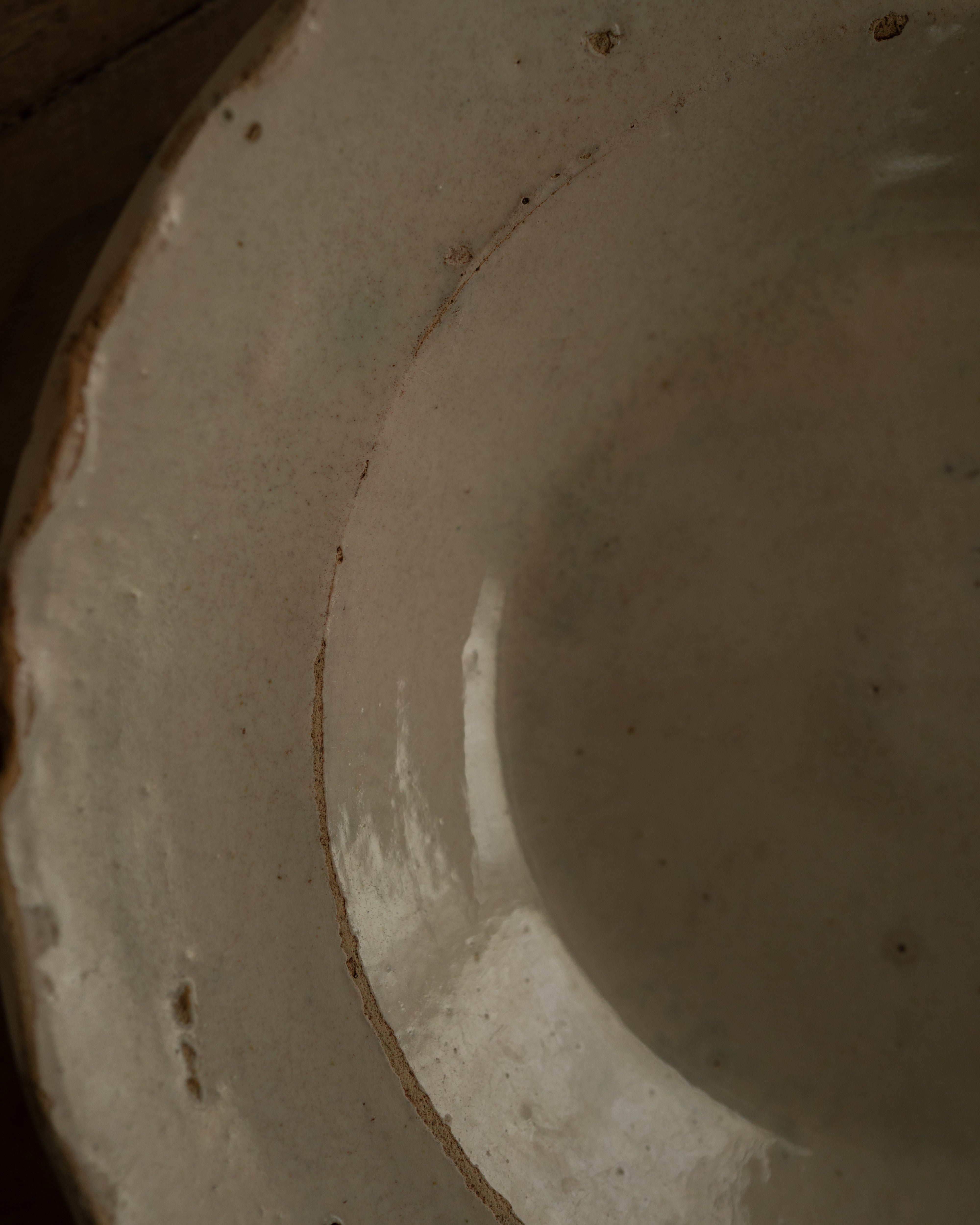 19th Century Italian Grottaglie, Puglia, Tin-Glazed Flower Plate AN-25194