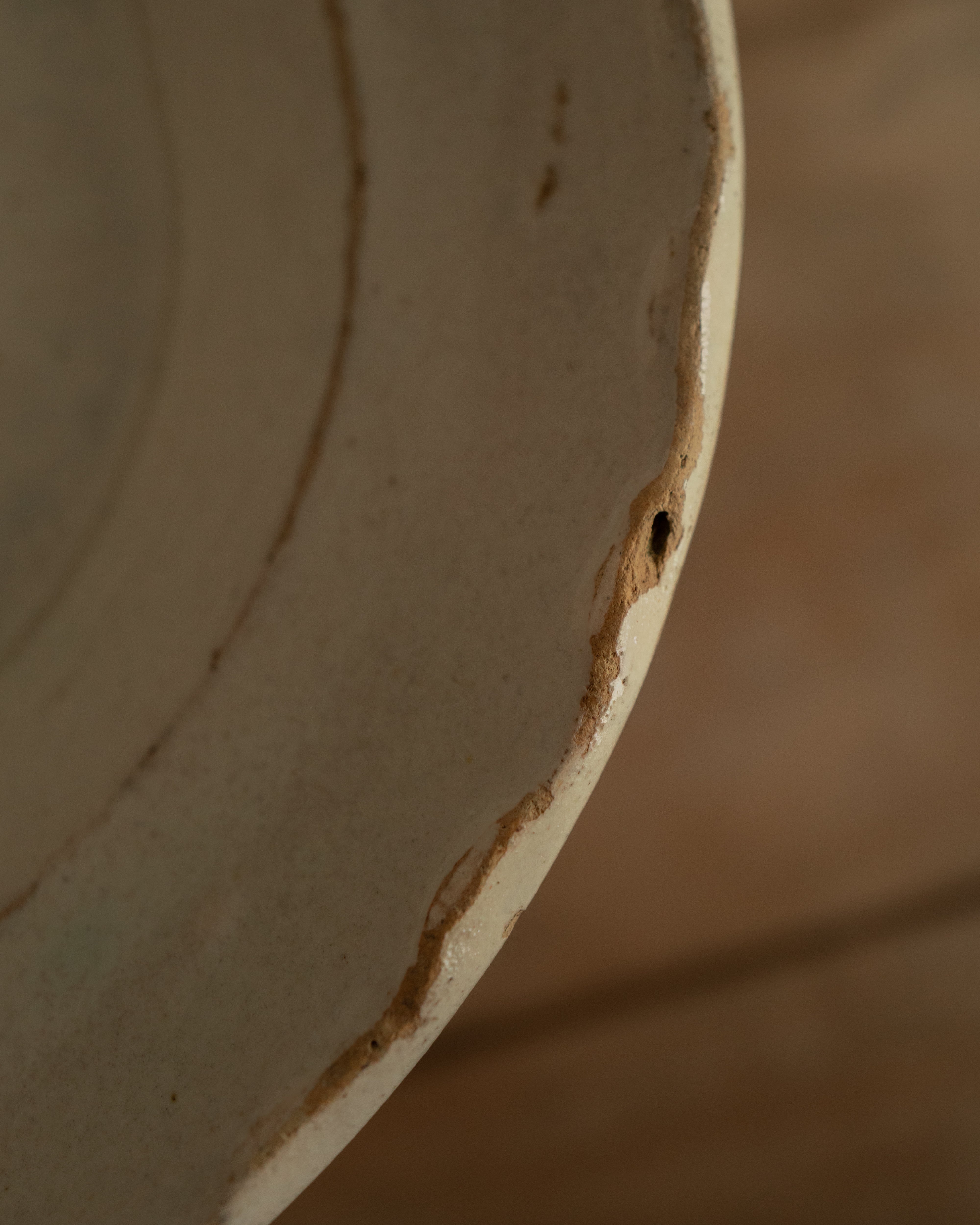 19th Century Italian Grottaglie, Puglia, Tin-Glazed Flower Plate AN-25194
